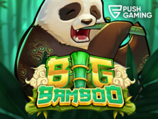 Untamed giant panda casino54